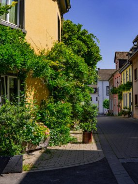 Evin yakınındaki çömleklerde yemyeşil bitkiler yetişiyor. Yüksek kalite 3d illüstrasyon