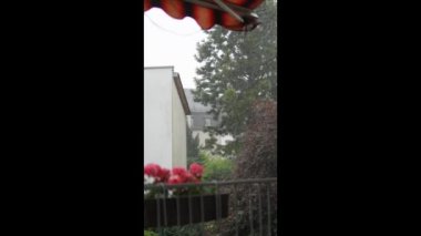 Sokağa yağmur damlaları yağıyor, bahar mevsiminde yağmur yağıyor. Yüksek kaliteli FullHD görüntüler