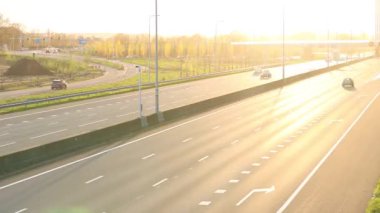 Yol ve ağaçlarla Hollanda otoyolunda arabalar