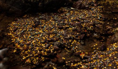Deniz kıyısındaki bir grup insan, Bali