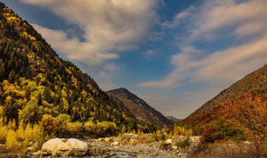 Ağaçlar ve yapraklarla dolu güzel sonbahar manzarası