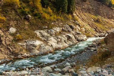 Ormanda kayalar ve taşlar olan dağ nehri..