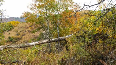 Dağların güzel manzarası