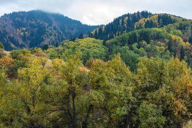 Ağaçlar ve dağlarla dolu sonbahar manzarası