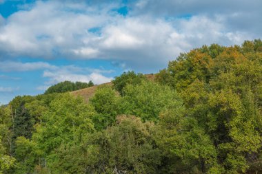 Güzel sonbahar manzarası Ağaçlar ve mavi gökyüzü.