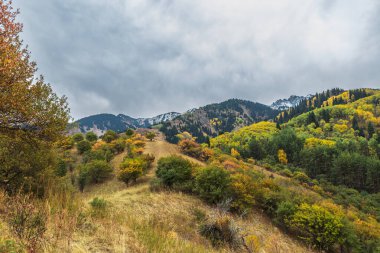 Bir dağ ve bulutlu gökyüzü olan sonbahar manzarası. Dağlarda sonbahar mevsimi. Sonbaharda sonbahar manzarası.