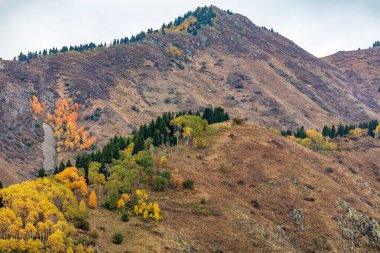 Dağların güzel manzarası