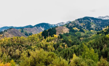 Dağlardaki renkli sonbahar manzarası