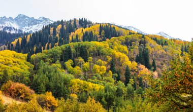 Renkli ağaçlar ve dağlarla dolu sonbahar manzarası
