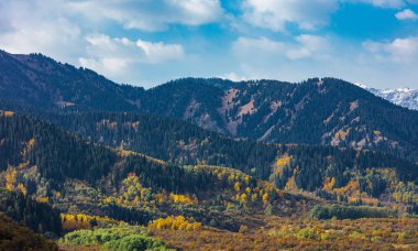 dağlarda renkli sonbahar
