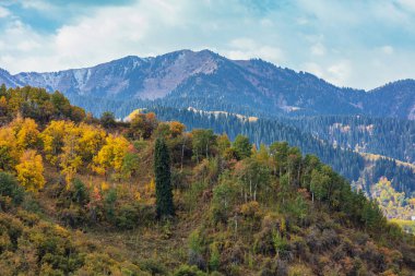 Güzel sonbahar manzarası dağlarda
