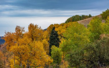 Dağların güzel manzarası