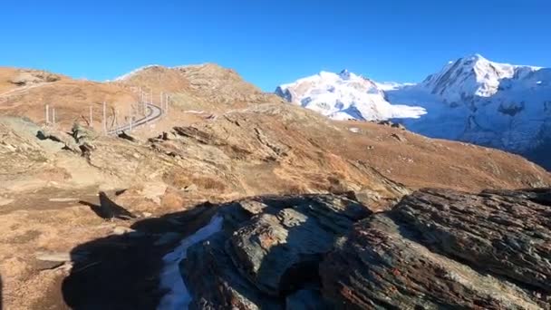 Las Aves Picoteando Por Comida Las Montañas Nevadas Suiza Monte — Vídeos de Stock