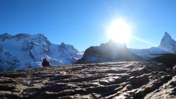 スイスの雪の山で食べ物を食べる鳥 観測デッキから日光を浴びたゼルマット山 高品質のフルHd映像 — ストック動画