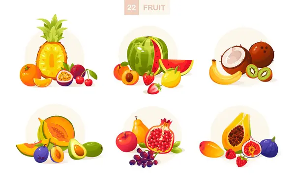 Fruits and berries vector illustration in cartoon style. Juicy summer fruits. Big Fruit set