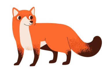 Beyaz arka planda izole edilmiş şirin tilki. Vahşi hayvan. Düz vektör illüstrasyonu.