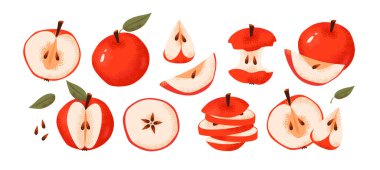 Elmalar farklı şekillerde, dilimler, bütün, çekirdek beyaz bir arkaplanda izole edilmiş. Taze elmanın düz çizimi. Sağlıklı beslenme ve tarım sürdürülebilirliği.