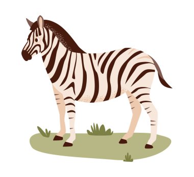 Zebra doğal bozkırında huzur içinde otluyor. Düz vektör illüstrasyonu