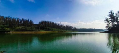 Parlak güneşli bir günde Çam Ağacı Ormanı yakınlarındaki göl manzarası.