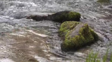 Kuzeybatı Pasifik 'teki bir su deresinin ortasındaki büyük kayalar..