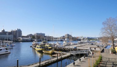 Victoria Causeway Marina, Vancouver Adası 'ndaki Victoria Limanı' nda Victoria, British Columbia, Kanada 'daki Parlamento Binası' nın yanında. 