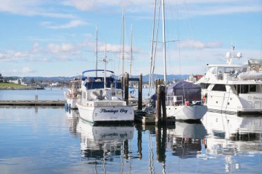 Victoria Limanı Victoria, British Columbia, Kanada 'daki Vancouver Adası' ndaki David Foster Geçidi 'nde.