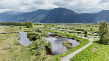 Pitt River Dike Sahne Noktası 'nın hava manzarası Pitt Meadows, British Columbia, Kanada' da bir bahar sezonunda.