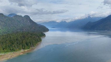 Aerial view of Grant Narrows Regional Park during a spring season in Pitt Meadows, British Columbia, Canada. clipart