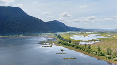 Pitt Meadows, British Columbia, Kanada 'da bahar sezonunda Grant Narrows Bölge Parkı' nın hava manzarası.