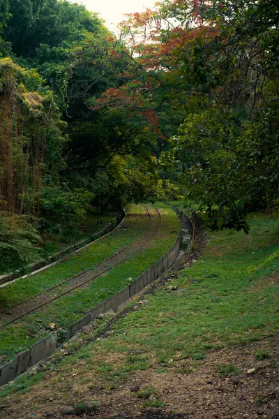 stock image The train tracks run between ditches and large, shady trees under city bridges