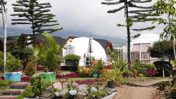 Lombok 'un Sembalun bölgesinde Rinjani Dağı' nın eteklerindeki pansiyonlardan birinin bahçesi soğuktur.