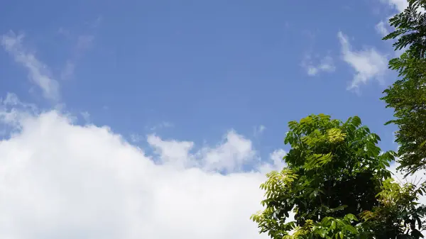 Sabahları Lombok 'un yanındaki ağaçlarla birlikte açık mavi gökyüzü olan beyaz bulutlar.