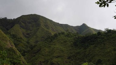 Sabahları soğuk havada Rinjani Dağı 'nın çevresindeki yeşil tepelerin manzarası.