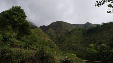Sabahları soğuk havada Rinjani Dağı 'nın çevresindeki yeşil tepelerin manzarası.