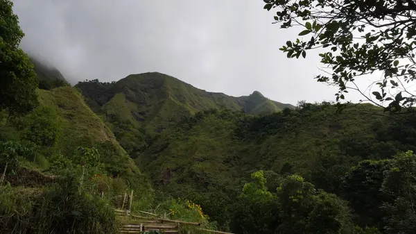 Sabahları soğuk havada Rinjani Dağı 'nın çevresindeki yeşil tepelerin manzarası.