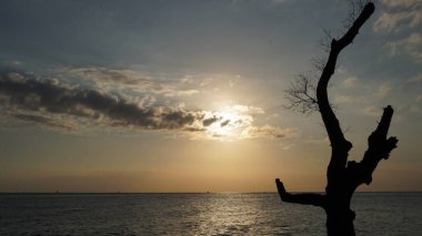 Güneş öğleden sonra Lombok 'taki Ampenan sahilinde doğacak. Ağaç dallarının silueti yapraksız olacak ve insanlar plajda dinlenecek.