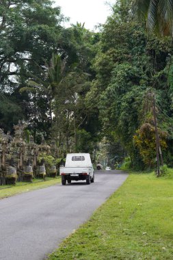 Bali 'de ağaçlık bir sokaktan geçen bir araba.