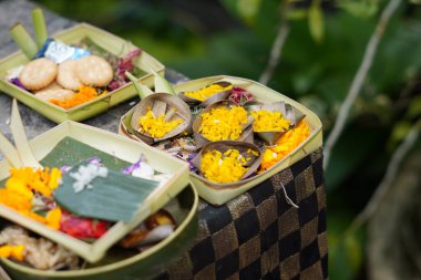 Bali 'deki Hindu kurbanlarına 