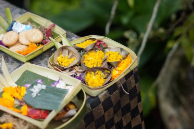 Bali 'deki Hindu kurbanlarına 