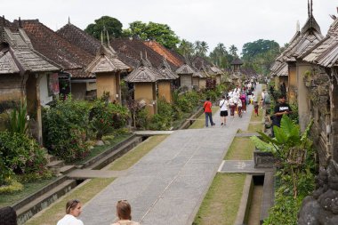 Sabahleyin Bali 'nin Penglipuran kasabasını ziyaret edenler