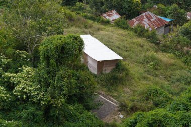 Ağaçlı bir tepenin ortasında duran küçük bir ev.