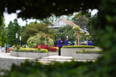 Park alanında faaliyet gösteren öğrencilere yapraklardaki bir delikten göz atın.