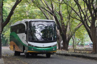 Öğleden sonra gölgeli ağaçların arasından geçen bir Petrokimia Gresik otobüsü