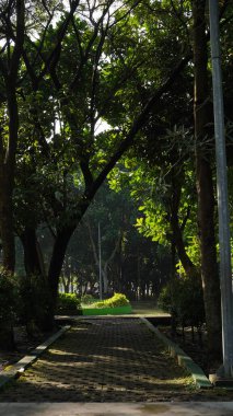 Footpath in the park Singha Malang which is surrounded by large shady trees clipart