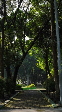 Parktaki patika Singha Malang büyük gölgeli ağaçlarla çevrili.