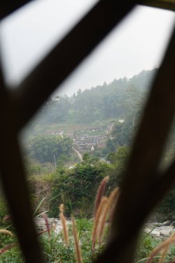 Alang alang plants (Pennisetum pedicellatum) exposed to the wind with a background of hills and people's houses on a cloudy day clipart