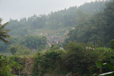 Sabahları bir tepenin kenarındaki evler Batu şehrinde yüksek ağaçlarla çevrilidir.