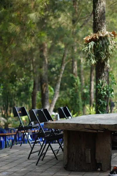 Gölgeli bir günde arka planda ağaçlar olan bir kafede düzgün düzenlenmiş siyah sandalyeli uzun tahta bir masa.