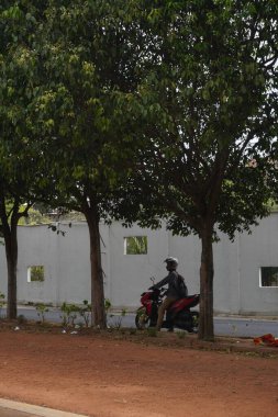 A motorcyclist stopped at the side of the road among the trees during the day clipart