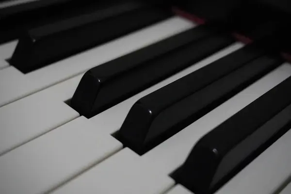 stock image Black and white piano keys close up